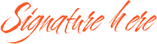 R. Navaneetha Krishnan signature